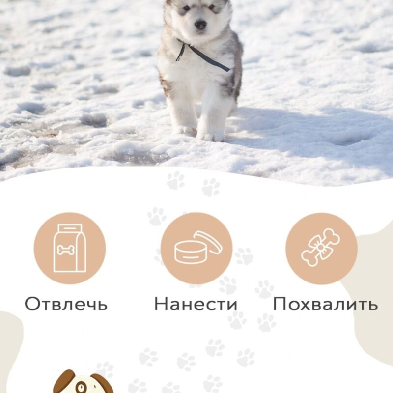 zashchitnyj-vosk-dlya-lap-sobak-muzzle-100-ml-instrukciya