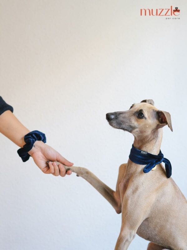 zashchitnyj-vosk-dlya-lap-sobak-muzzle-100-ml-livretka