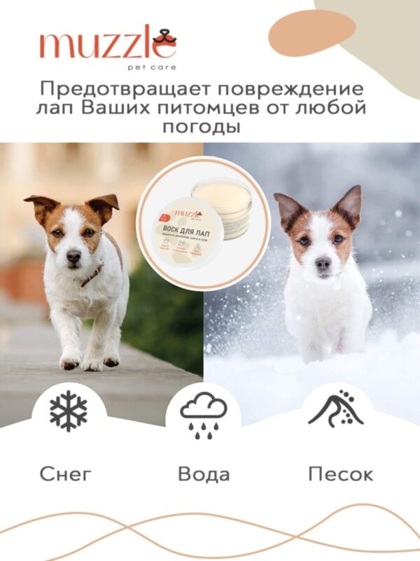 zashchitnyj-vosk-dlya-lap-sobak-muzzle-100-ml-sobaka-ulica