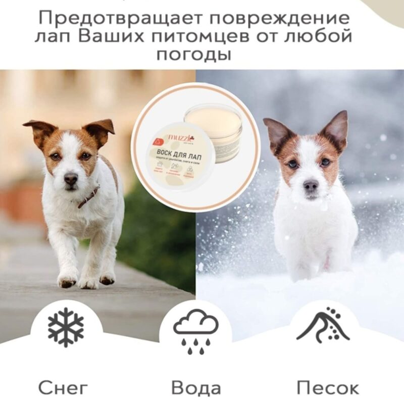 zashchitnyj-vosk-dlya-lap-sobak-muzzle-100-ml-sobaka-ulica