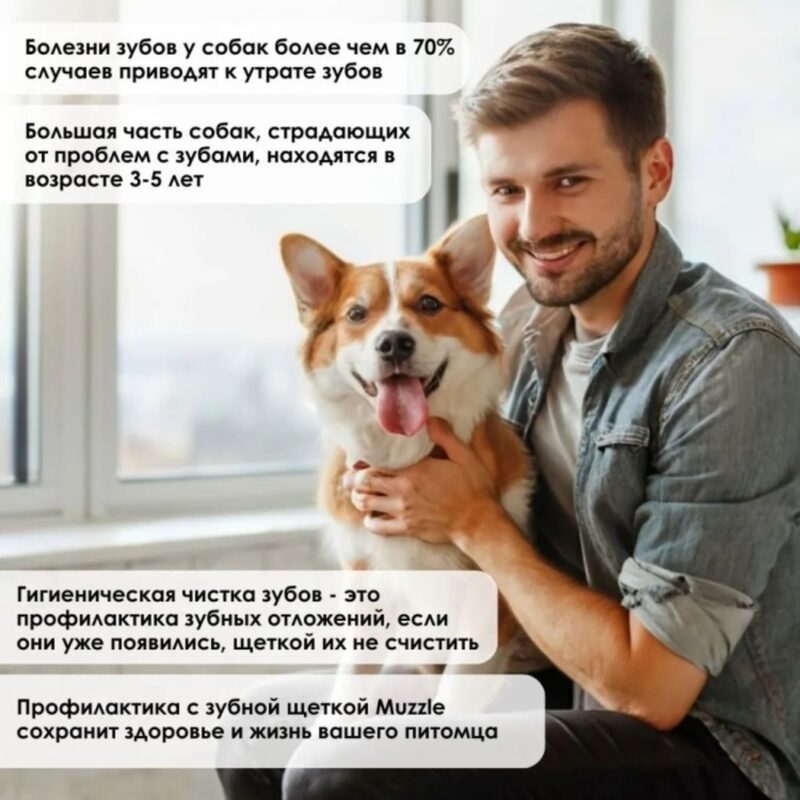 zubnaya-shchyotka-muzzle-korgi
