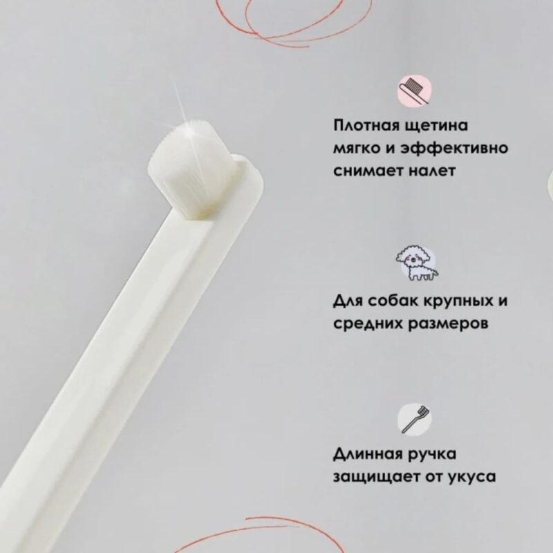 zubnaya-shchyotka-muzzle-opisanie