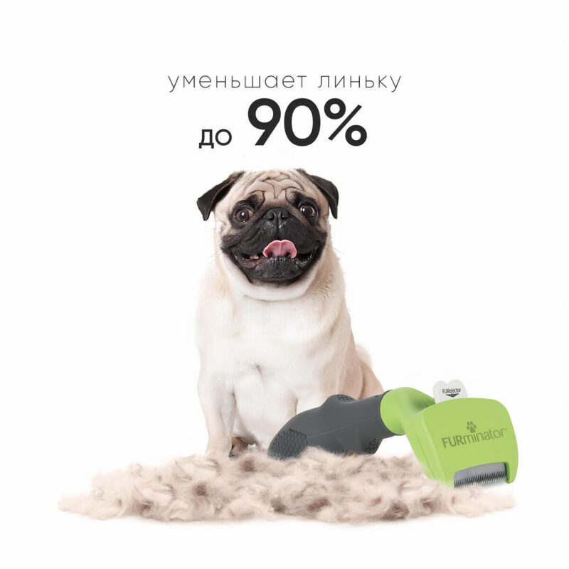 furminator-dlya-sobak-korotkaya-sherst-sravnenie-do-posle
