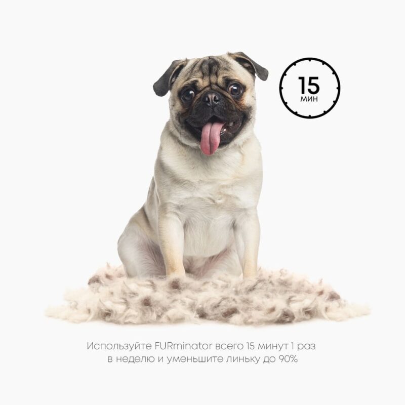 furminator-dlya-sobak-short-hair-s-primenenie-na-sobake