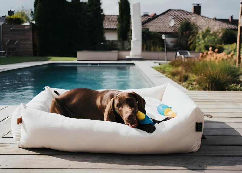 igrushka-alaska-morzh-hunter-dlya-sobak