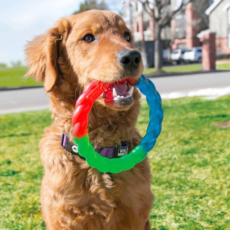 igrushka-kolco-dlya-sobak-kong-twistz-sobaka