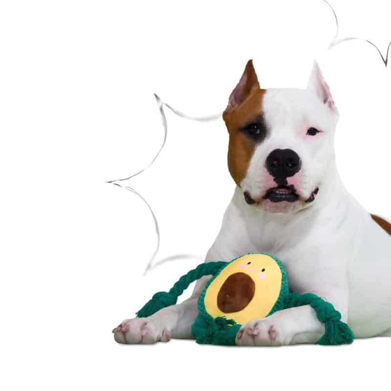 mrkranch-igrushka-dlya-sobak-avokado-dlya-zubov-i-igr