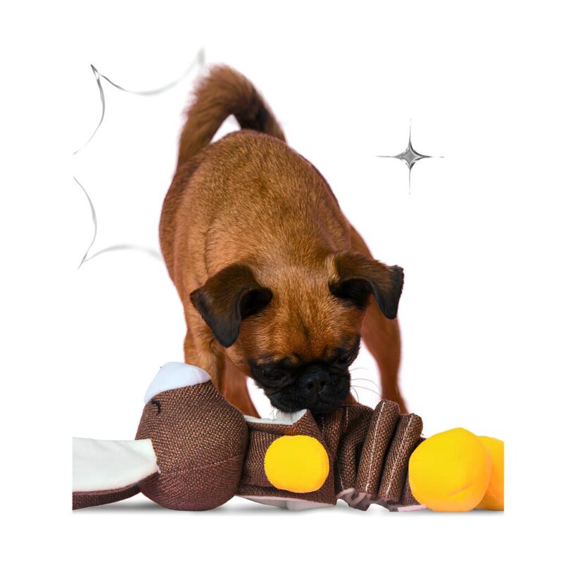 mrkranch-igrushka-zaychik-dlya-sobak