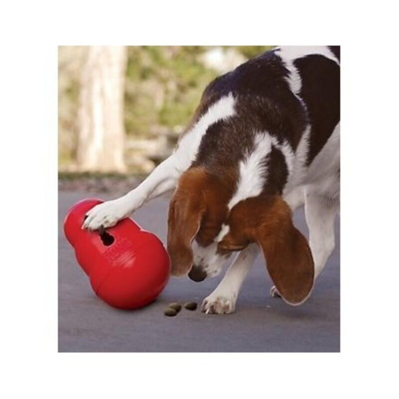 igrushka-dlya-sobak-kong-wobbler-korm-sabaka-igra