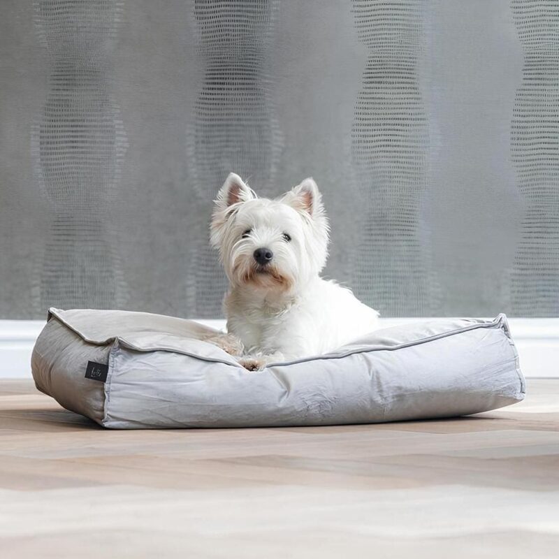 matras-dlya-sobak-designed-by-lotte