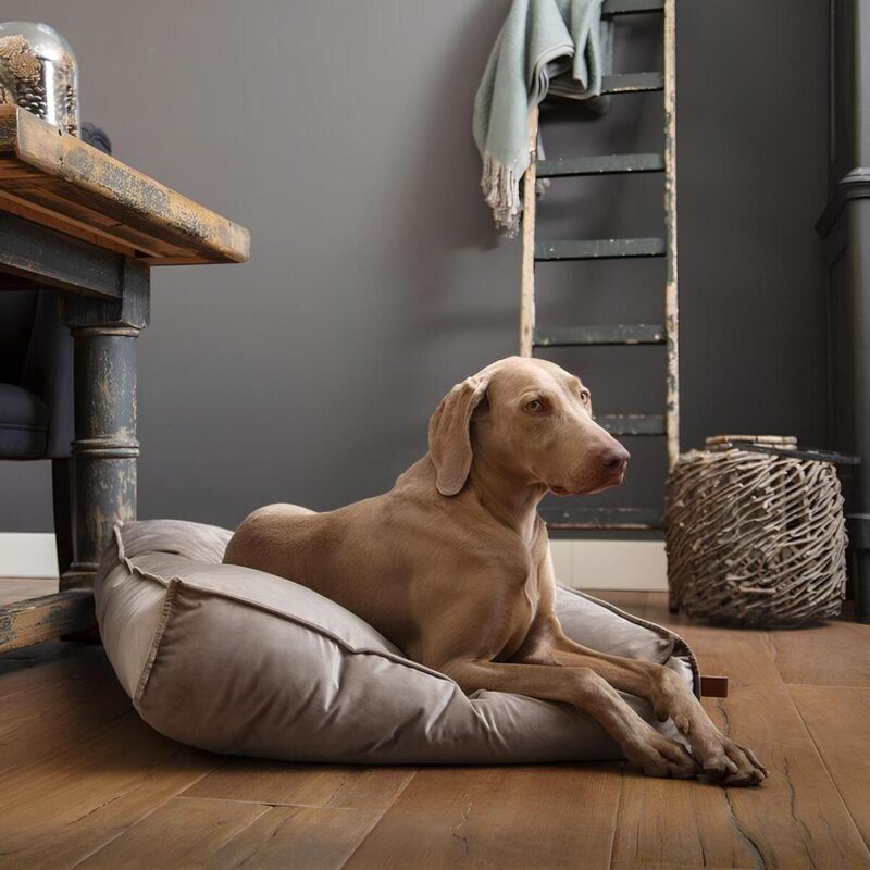 matras-dlya-sobak-velveti-Gray