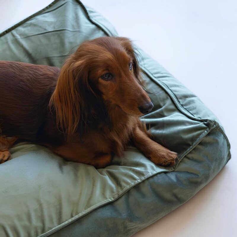 matras-dlya-sobak-velveti-zelyonyj