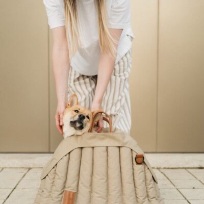 chekhol-dlya-perenoski-poni-huntingpony-oblegchennyj-bezhevyj-krupno-interer