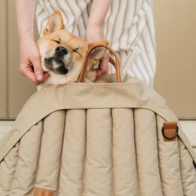 chekhol-dlya-perenoski-poni-huntingpony-oblegchennyj-bezhevyj-krupno-sobaka-intere