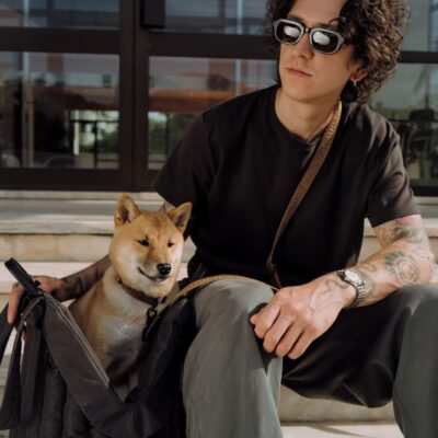 chekhol-dlya-perenoski-poni-huntingpony-oblegchennyj-chernyj-sobaka-interer-priroda