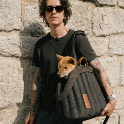 chekhol-dlya-perenoski-poni-huntingpony-oblegchennyj-korichnevyj-detali-interer-priroda