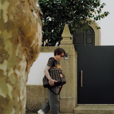 chekhol-dlya-perenoski-poni-huntingpony-oblegchennyj-korichnevyj-detali-krupno-sobaka-interer-priroda