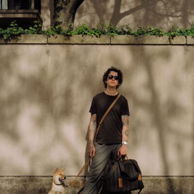 chekhol-dlya-perenoski-poni-huntingpony-oblegchennyj-korichnevyj-sobaka-interer-priroda