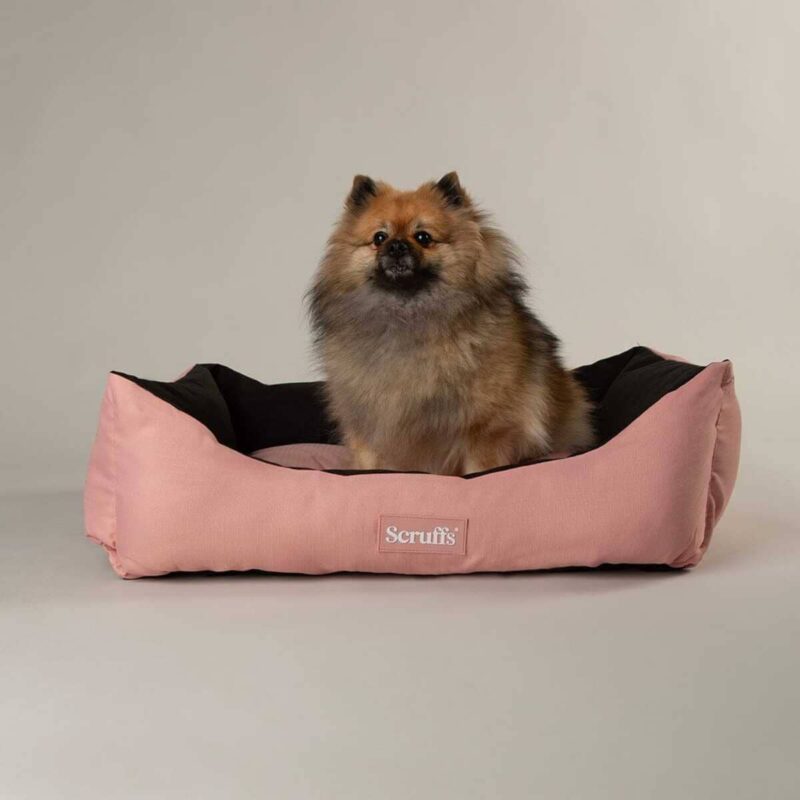 divan-dlya-sobak-scruffs-expedition-xs-s-m-rozovyj-sobaka