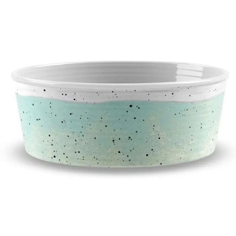 dizajnerskaya-miska-dlya-sobak-tarhong-desert-wash-946-ml-zelenyj