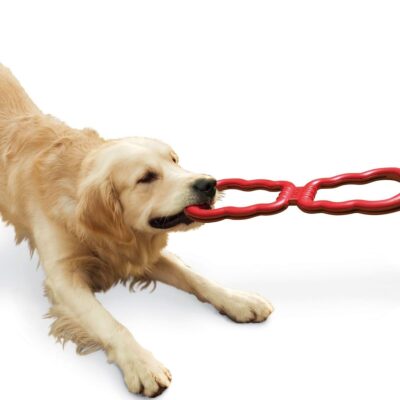 igrushka-dlya-sobak-kong-tug-sobaka