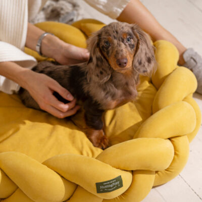 lezhanka-huntingpony-poni-kolosoni-gorchichnyj-detali-krupno-sobaka-interer