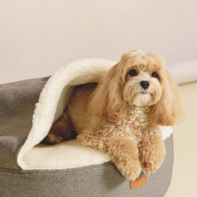 lezhanka-krovat-huntingpony-poni-norka-2-0-krupno-sobaka-interer