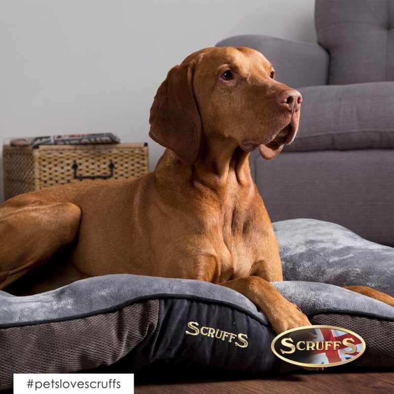 matras-dlya-sobak-scruffs-chester-grafit-interer-krupno
