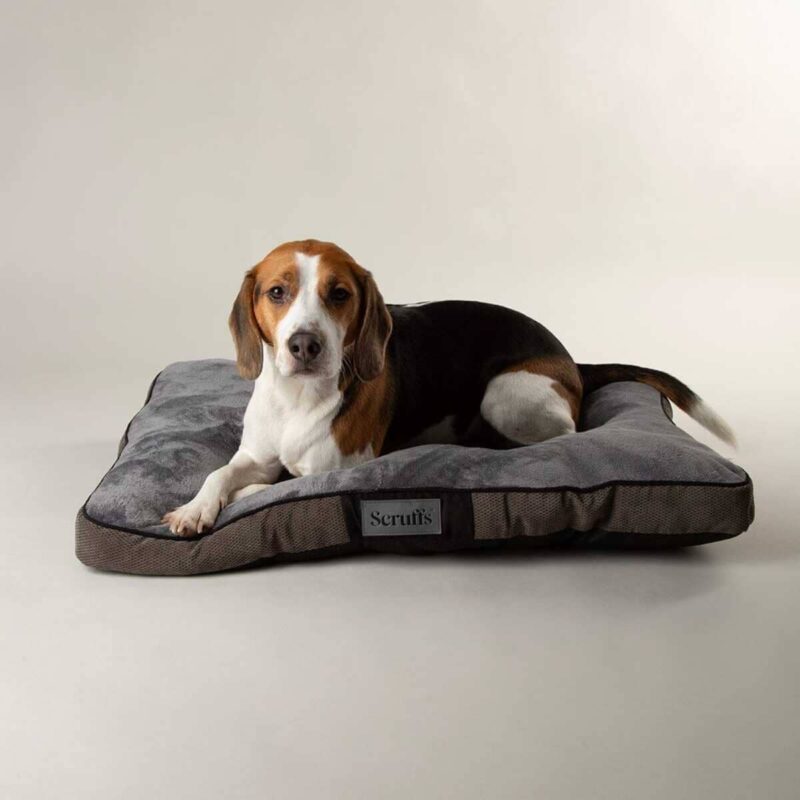 Матрас для собак Scruffs Chester, Графит
