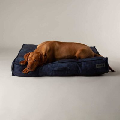 matras-scruffs-kensington-ekozamsha-sinij-detali-sobaka