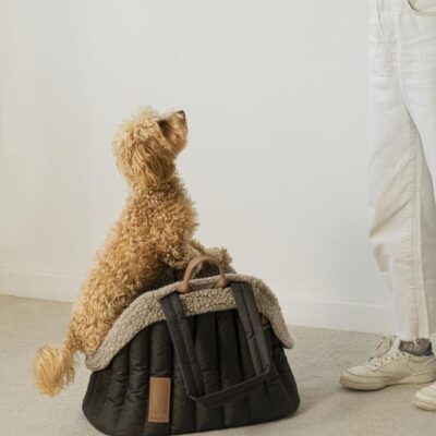 mekhovoj-chekhol-dlya-perenoski-poni-huntingpony-korichnevyj-sobaka-interer