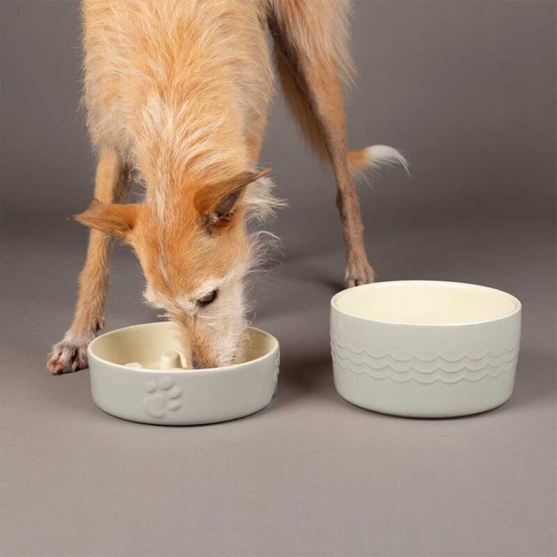 miska-dlya-medlennogo-poedaniya-scruffs-icon-slow-feeder-seryj-interer