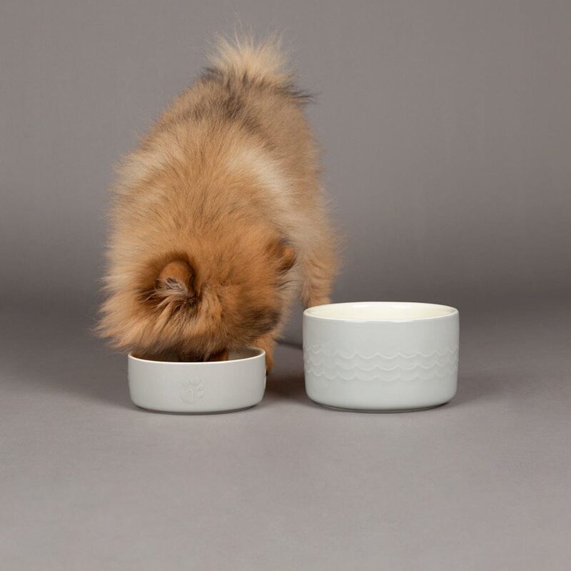 miska-scruffs-icon-dog-food-svetlo-seryj-0-4-l