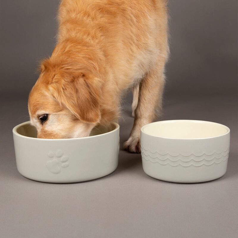 miska-scruffs-icon-dog-food-svetlo-seryj-3-5-l
