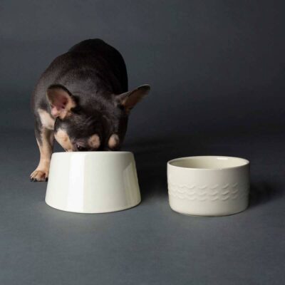 miska-scruffs-icon-flat-faced-kremovyj-krupno-sobaka