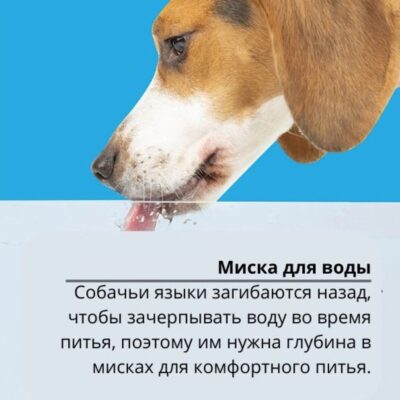 miska-scruffs-icon-flat-faced-kremovyj-krupno-sobaka-voda