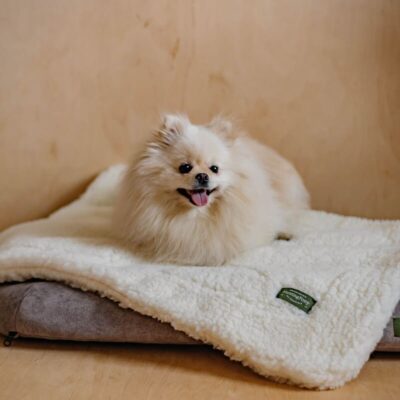 myagkij-pled-huntingpony-poni-soni-belyj-krupno-sobaka-interer