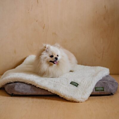 myagkij-pled-huntingpony-poni-soni-belyj-sobaka-interer