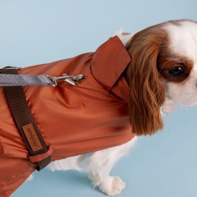 palto-amiplay-yorkshire-terrier-oranzhevyj-detali-krupno-sobaka