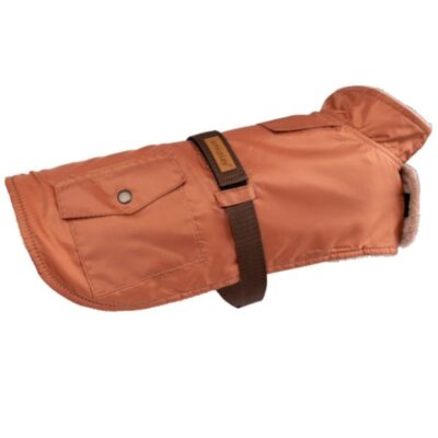 palto-amiplay-yorkshire-terrier-oranzhevyj-krupno