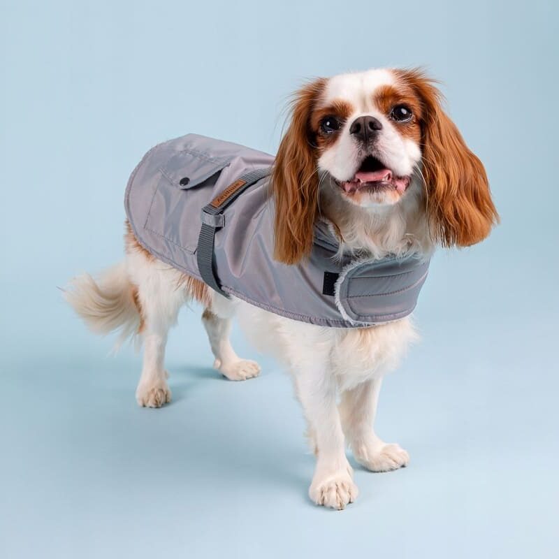 Пальто для собаки Amiplay Beagle, Серый