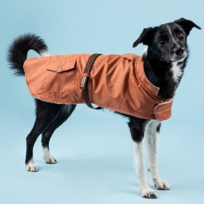 pol_pl_amiplay-Bled-plaszcz-przeciwdeszczowy-pomaranczowy-dla-psa-32-cm-82484_5