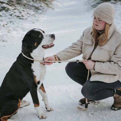 povodok-hunter-retriever-freestyle-bezhevyj-sobaka-igra