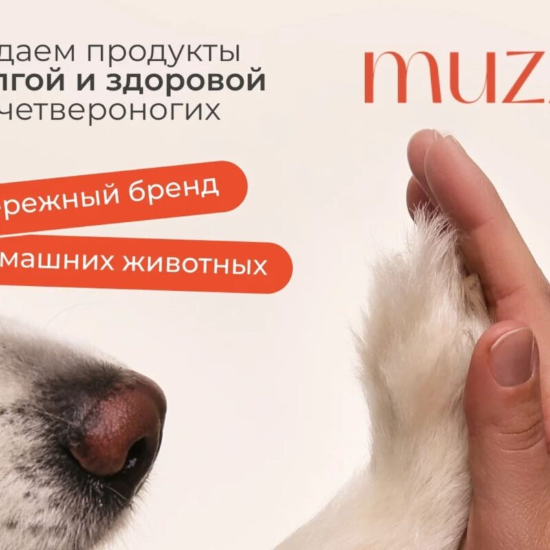 shampun-dlya-sobak-muzzle-s-hlorgeksidinom-500-ml-sobaka-sovet