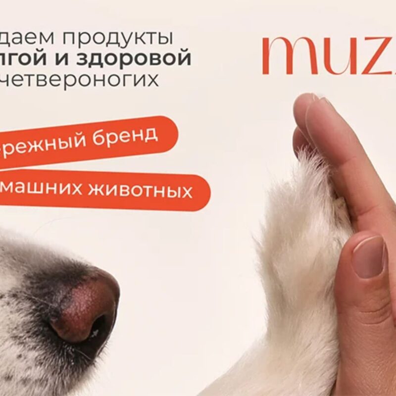 shampun-dlya-sobak-muzzle-universalnyj-250-ml-detali-krupno-sobaka-interer