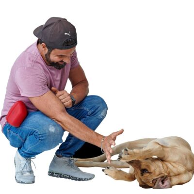 sumka-dlya-lakomstv-hunter-lugo-antracit-krasnyj-sobaka