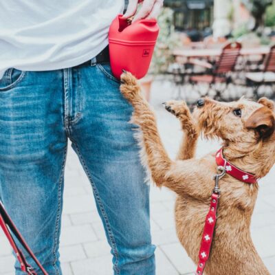 sumka-dlya-lakomstv-hunter-lugo-antracit-krasnyj-vid-sobaka-igra